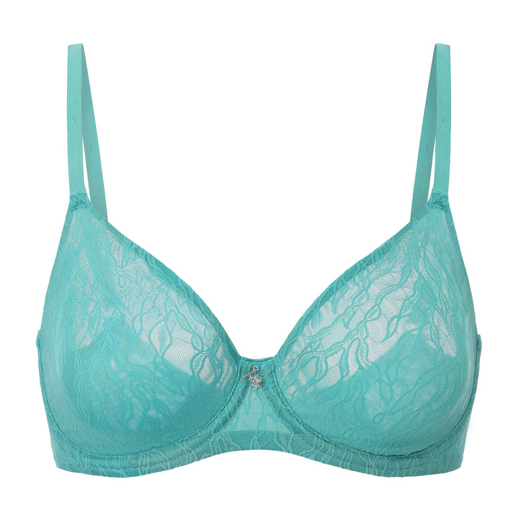 Julie Molded Lace & Mesh T-Shirt Bra Amour D'Agnette 3 colors