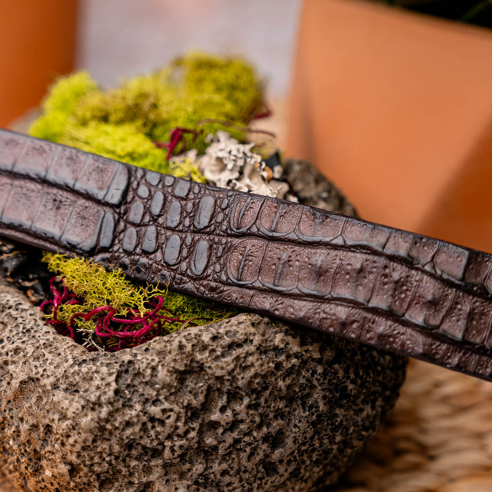 Riccardo Belt Brown men's genuine Caiman skin brown